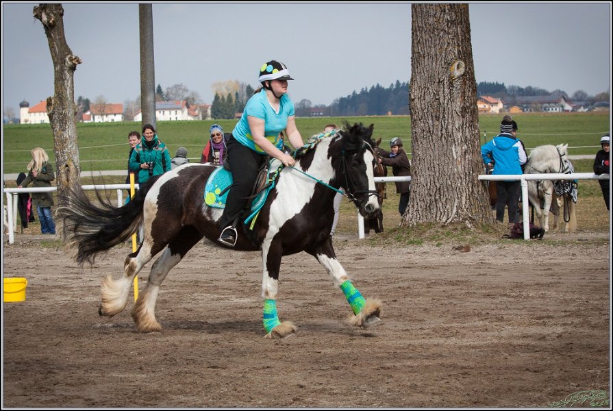 MountedGamesBayrischeMeisterschaft2015 103