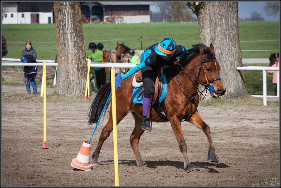 MountedGamesBayrischeMeisterschaft2015 106