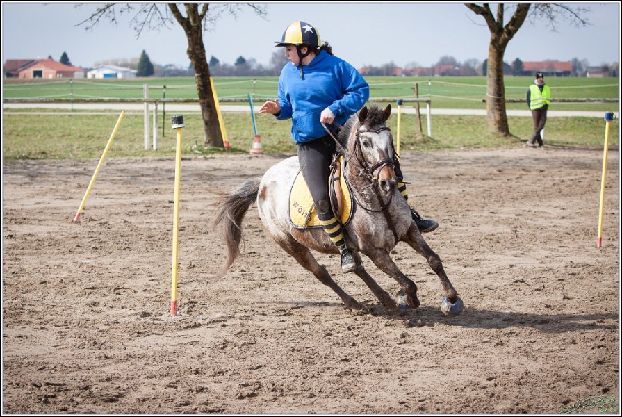 MountedGamesBayrischeMeisterschaft2015 112