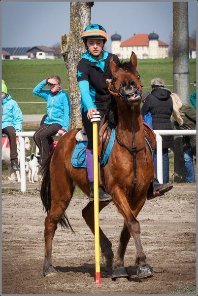 MountedGamesBayrischeMeisterschaft2015 115