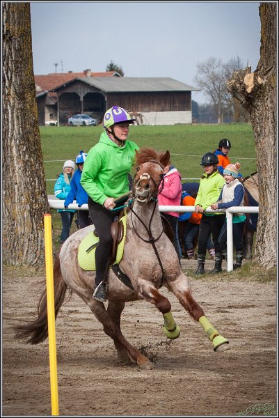 MountedGamesBayrischeMeisterschaft2015 121