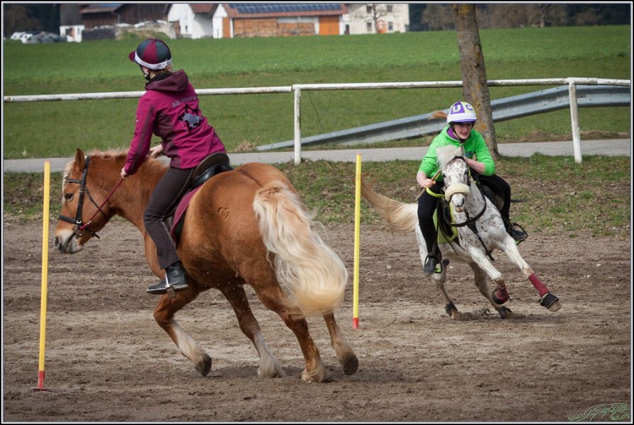 MountedGamesBayrischeMeisterschaft2015 123
