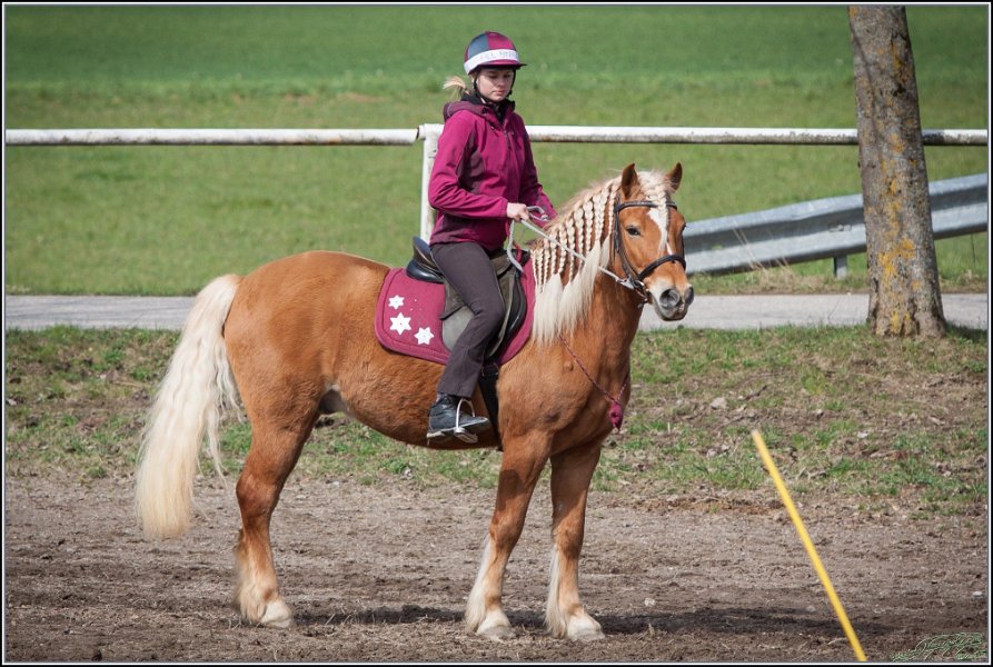 MountedGamesBayrischeMeisterschaft2015 124