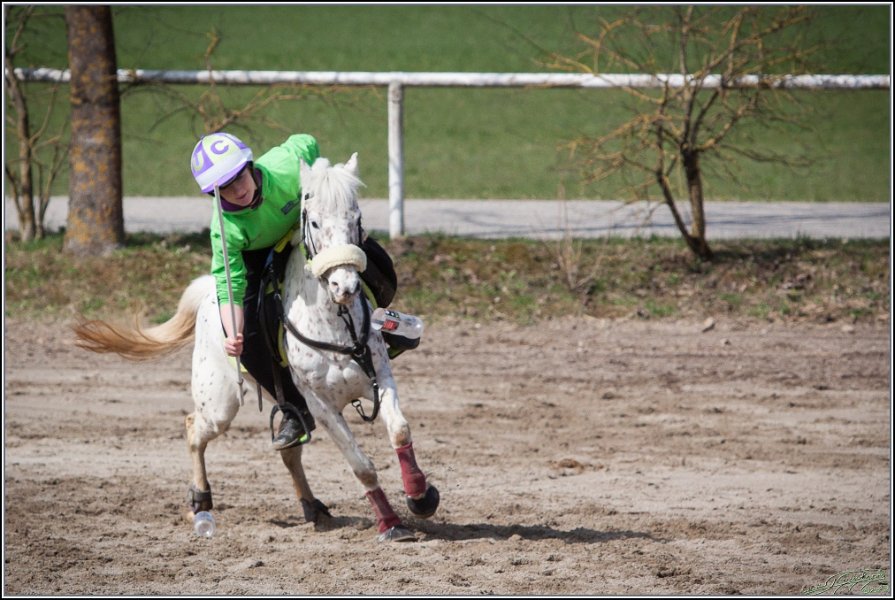 MountedGamesBayrischeMeisterschaft2015 131
