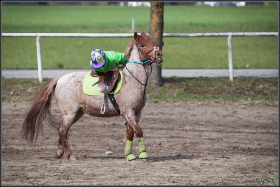 MountedGamesBayrischeMeisterschaft2015 140