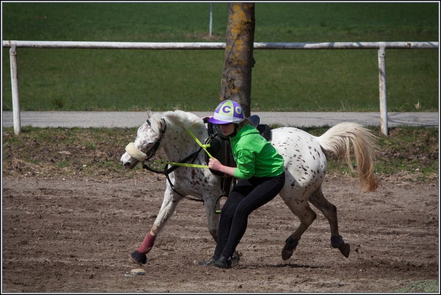 MountedGamesBayrischeMeisterschaft2015 141
