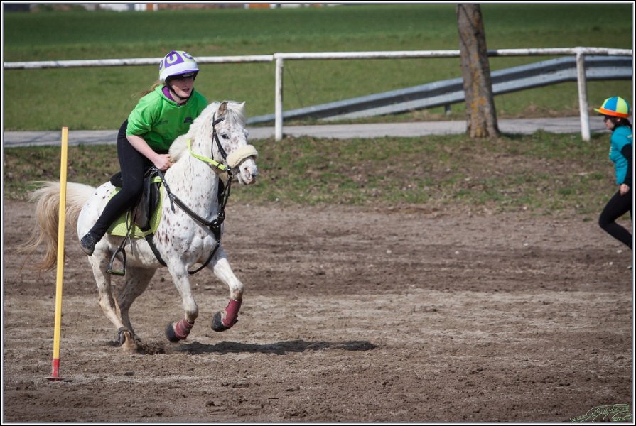 MountedGamesBayrischeMeisterschaft2015 142