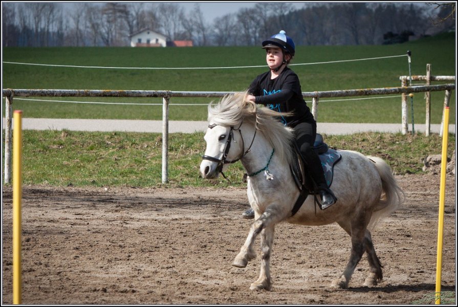 MountedGamesBayrischeMeisterschaft2015 144