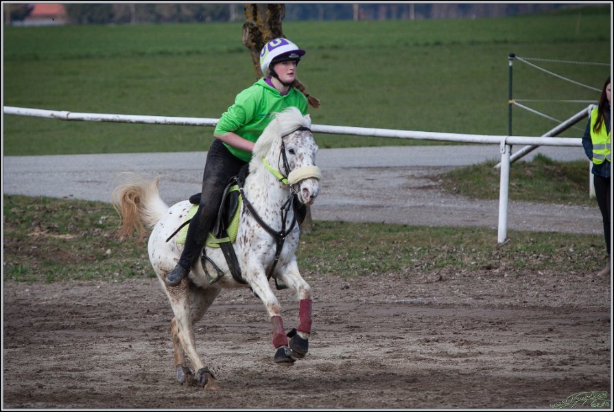 MountedGamesBayrischeMeisterschaft2015 153