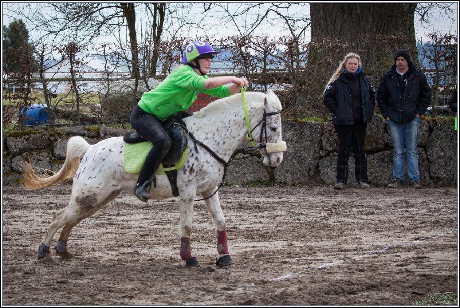 MountedGamesBayrischeMeisterschaft2015 154