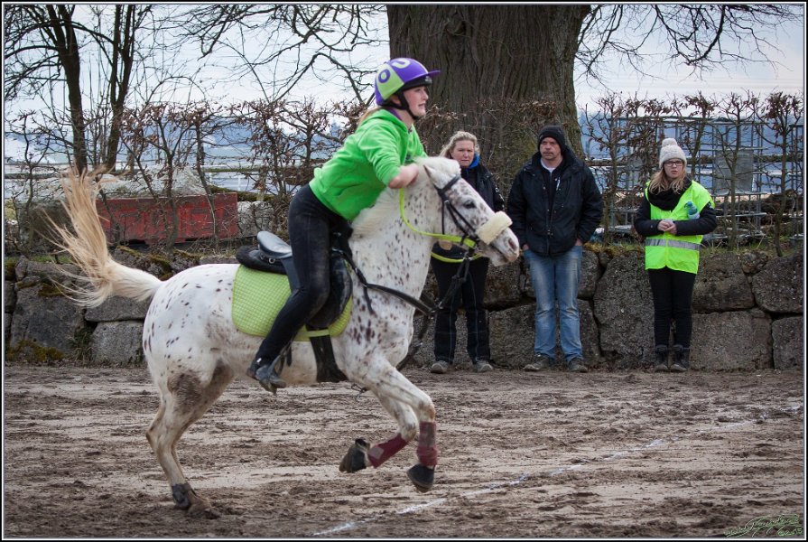 MountedGamesBayrischeMeisterschaft2015 155