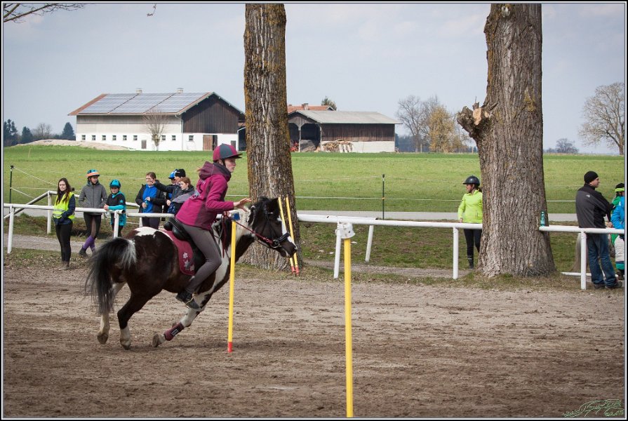 MountedGamesBayrischeMeisterschaft2015 156