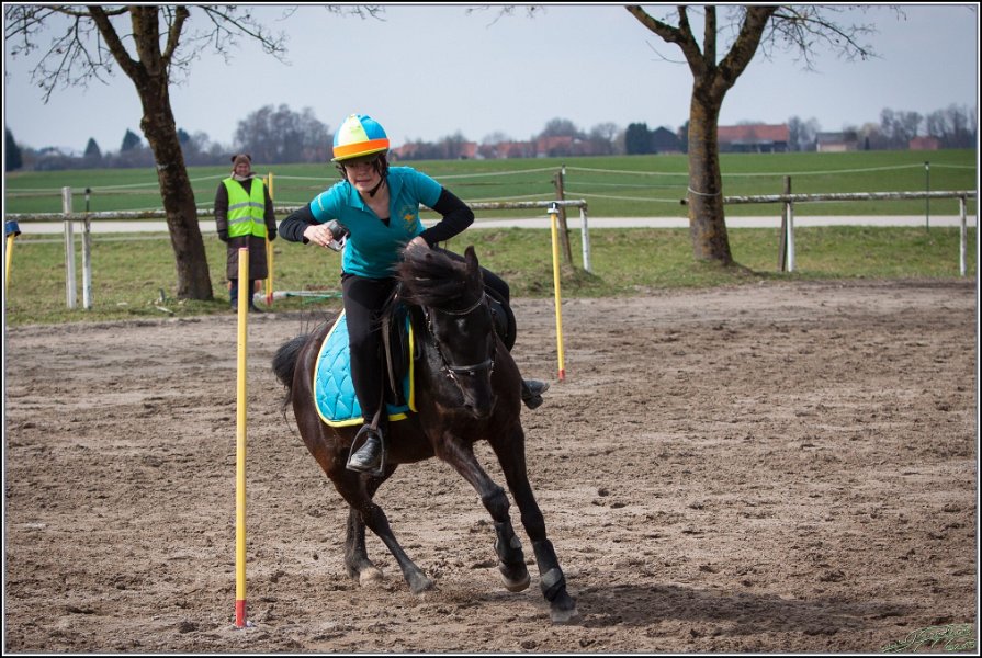 MountedGamesBayrischeMeisterschaft2015 159