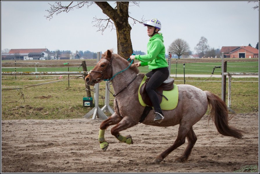 MountedGamesBayrischeMeisterschaft2015 161