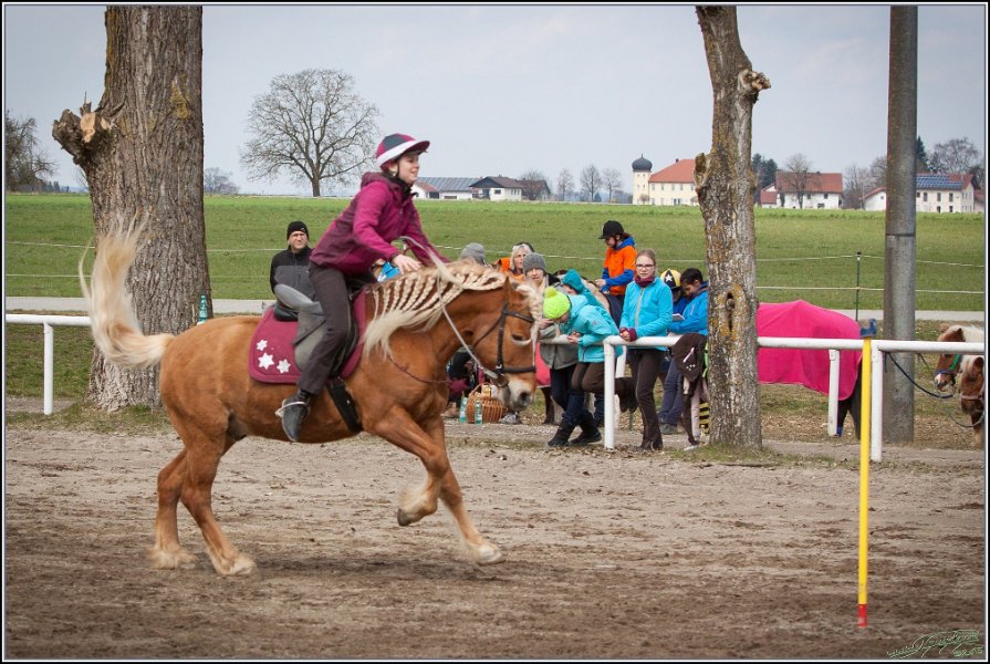 MountedGamesBayrischeMeisterschaft2015 162