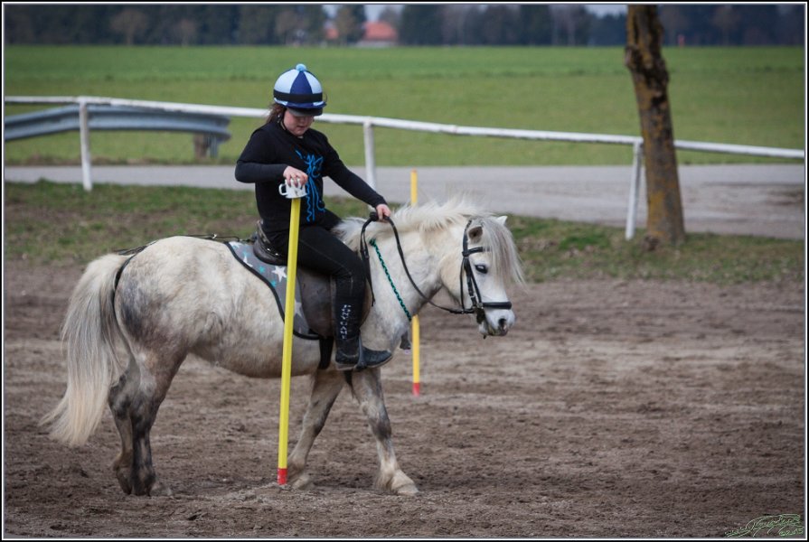 MountedGamesBayrischeMeisterschaft2015 163