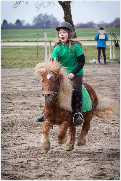 MountedGamesBayrischeMeisterschaft2015 167