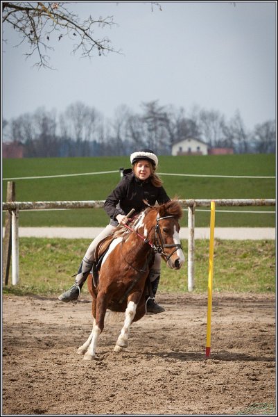 MountedGamesBayrischeMeisterschaft2015 169