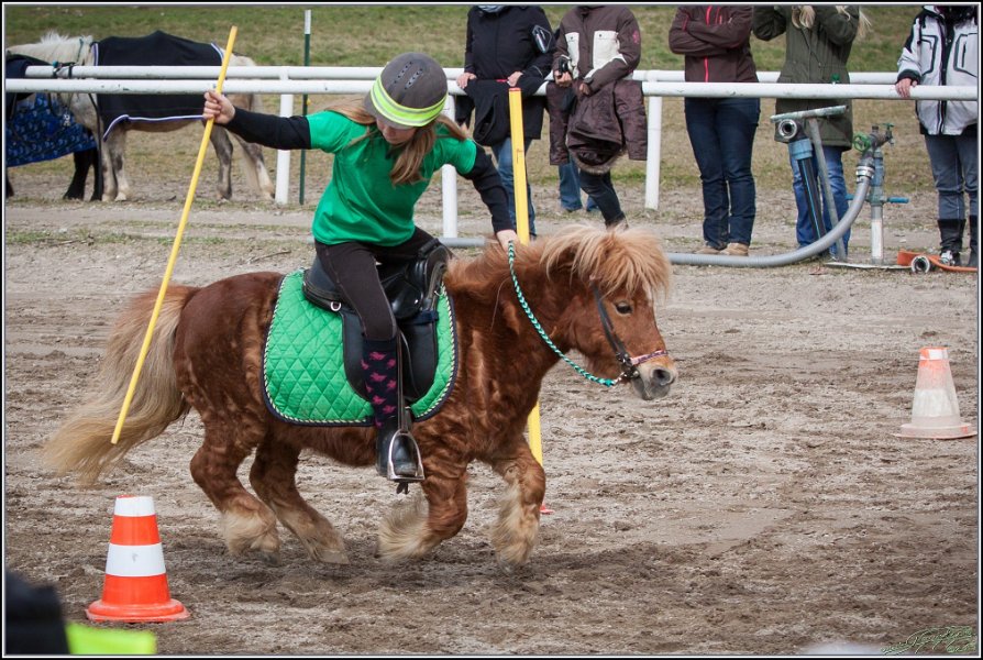 MountedGamesBayrischeMeisterschaft2015 178