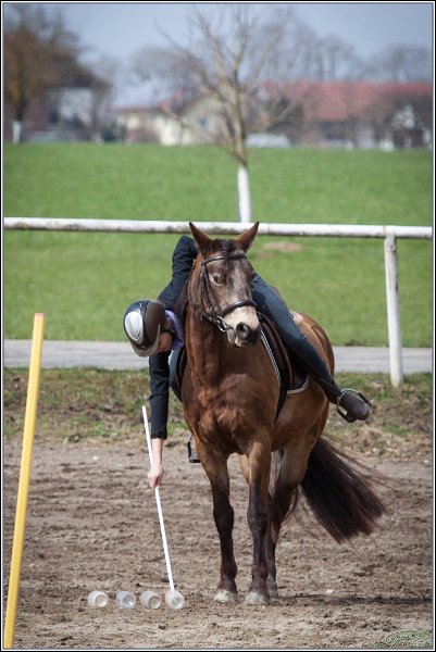 MountedGamesBayrischeMeisterschaft2015 182