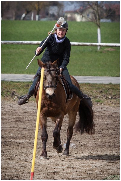 MountedGamesBayrischeMeisterschaft2015 183