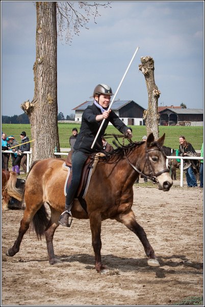 MountedGamesBayrischeMeisterschaft2015 189