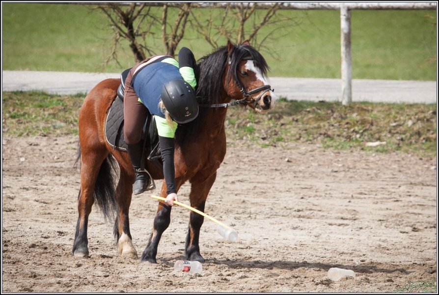 MountedGamesBayrischeMeisterschaft2015 190