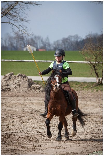 MountedGamesBayrischeMeisterschaft2015 191