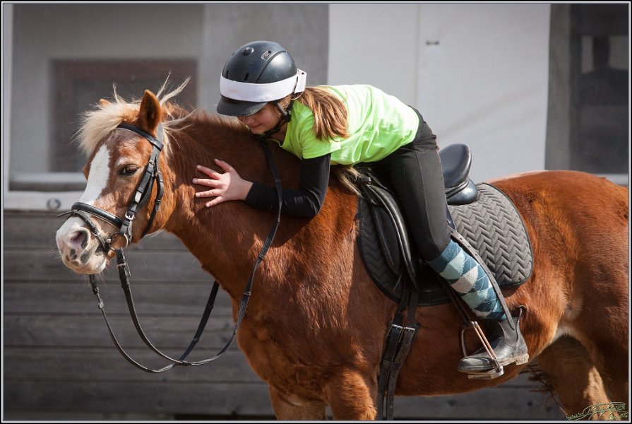 MountedGamesBayrischeMeisterschaft2015 202