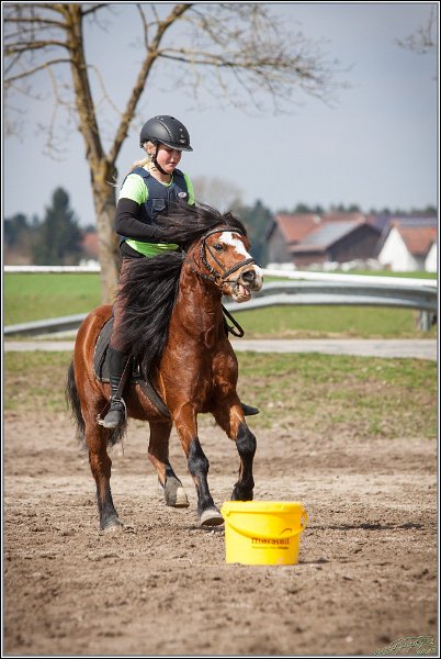 MountedGamesBayrischeMeisterschaft2015 206