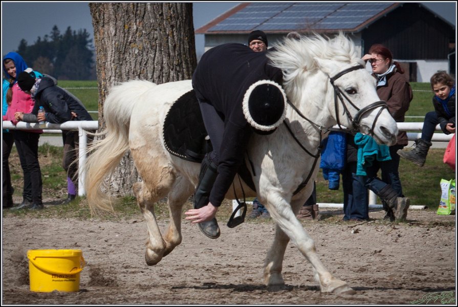 MountedGamesBayrischeMeisterschaft2015 207