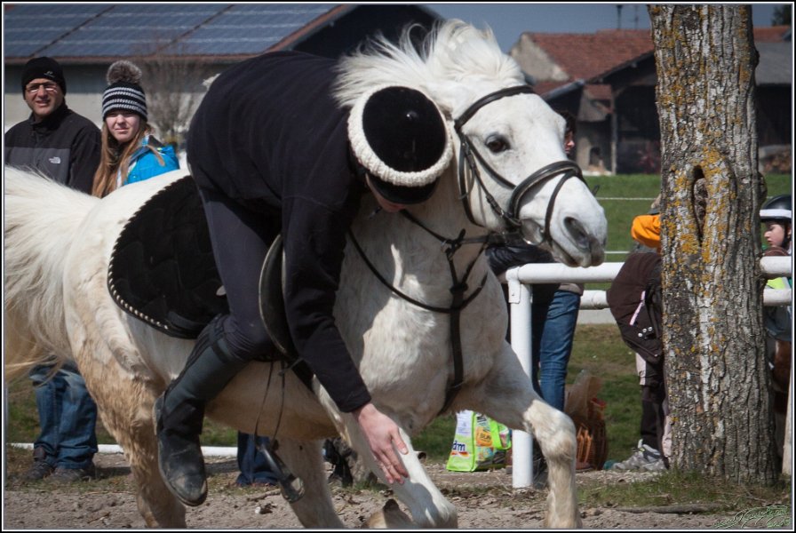 MountedGamesBayrischeMeisterschaft2015 208