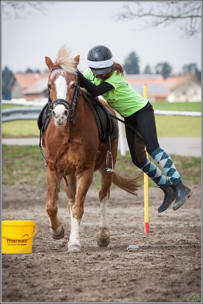 MountedGamesBayrischeMeisterschaft2015 209