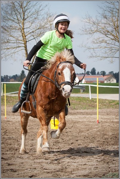 MountedGamesBayrischeMeisterschaft2015 211