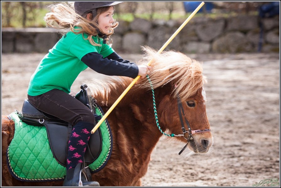 MountedGamesBayrischeMeisterschaft2015 212
