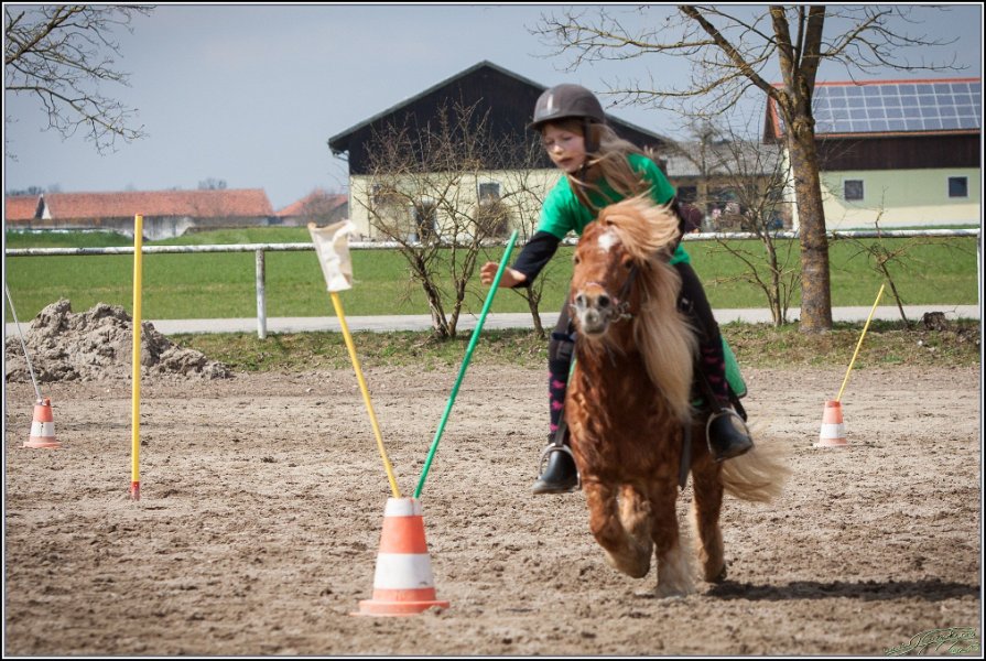 MountedGamesBayrischeMeisterschaft2015 213