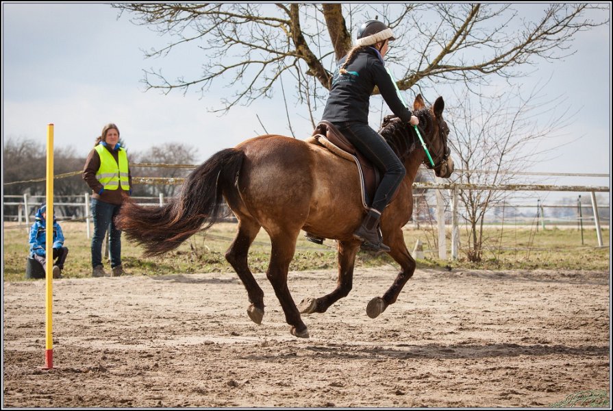 MountedGamesBayrischeMeisterschaft2015 215