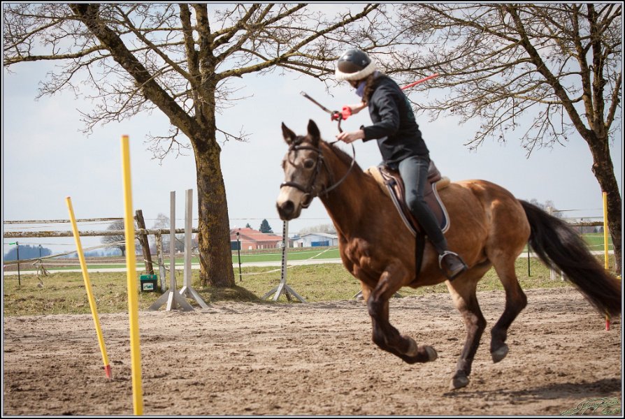 MountedGamesBayrischeMeisterschaft2015 217