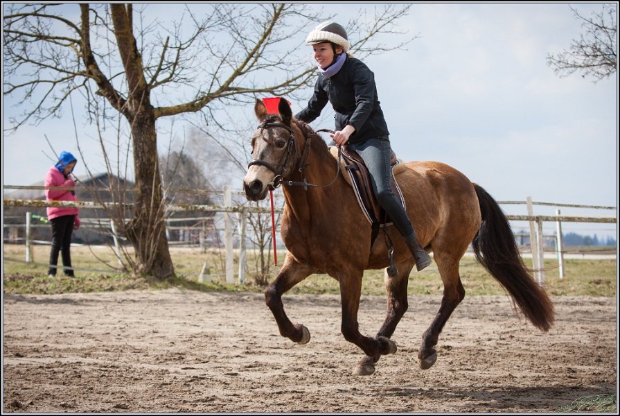 MountedGamesBayrischeMeisterschaft2015 220