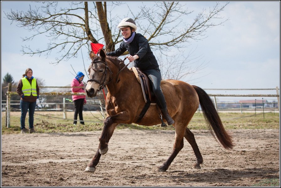 MountedGamesBayrischeMeisterschaft2015 221