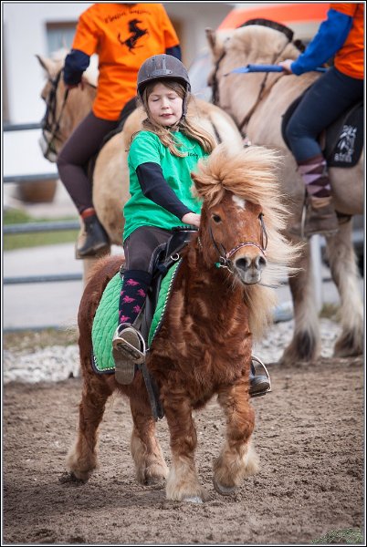 MountedGamesBayrischeMeisterschaft2015 222