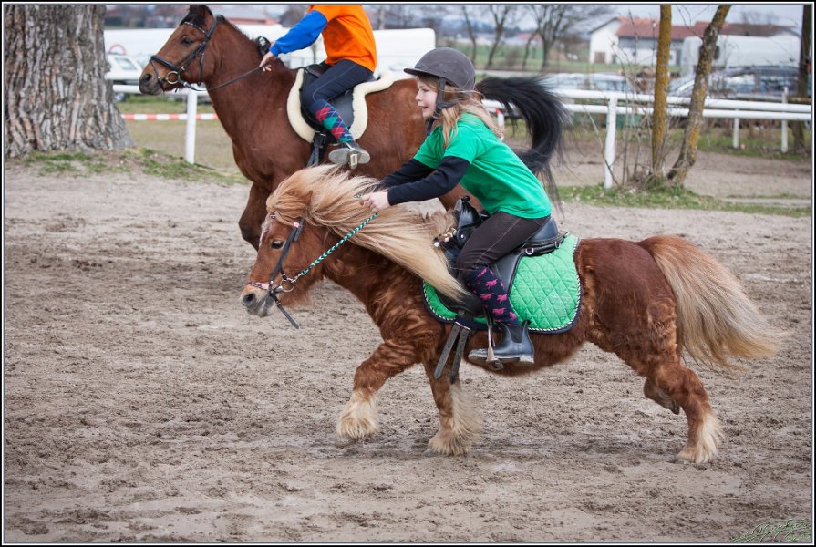 MountedGamesBayrischeMeisterschaft2015 224