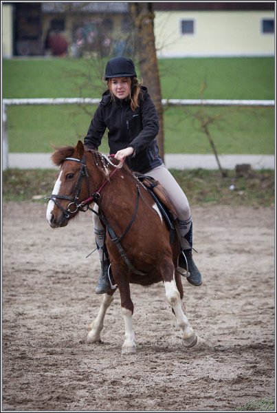 MountedGamesBayrischeMeisterschaft2015 227