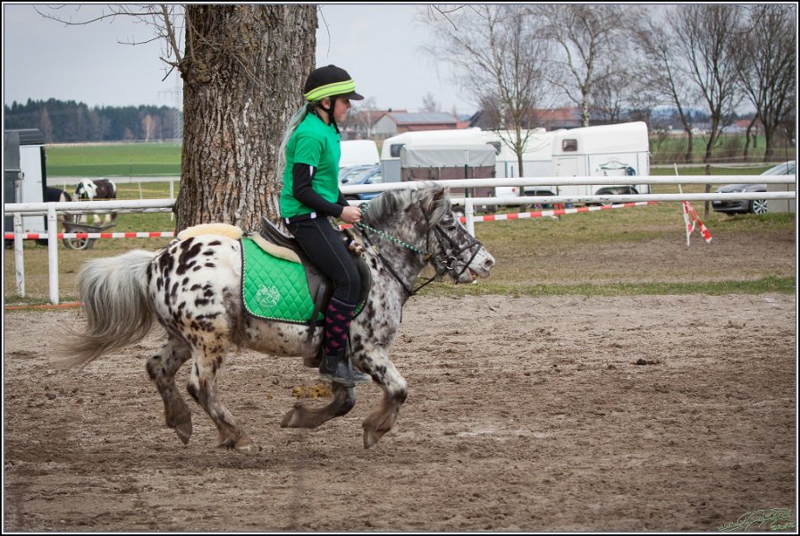 MountedGamesBayrischeMeisterschaft2015 229