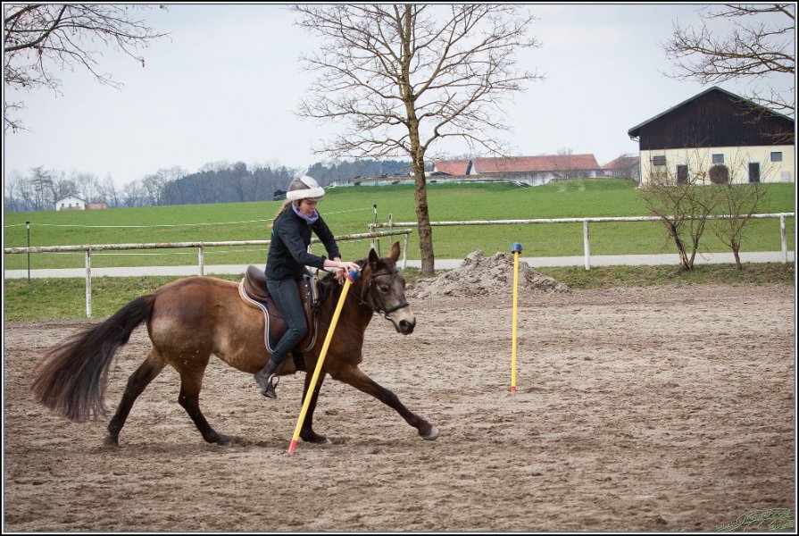 MountedGamesBayrischeMeisterschaft2015 231