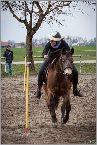 MountedGamesBayrischeMeisterschaft2015 232