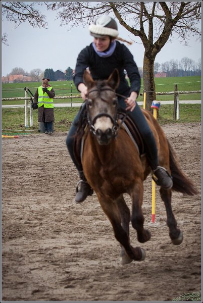 MountedGamesBayrischeMeisterschaft2015 233