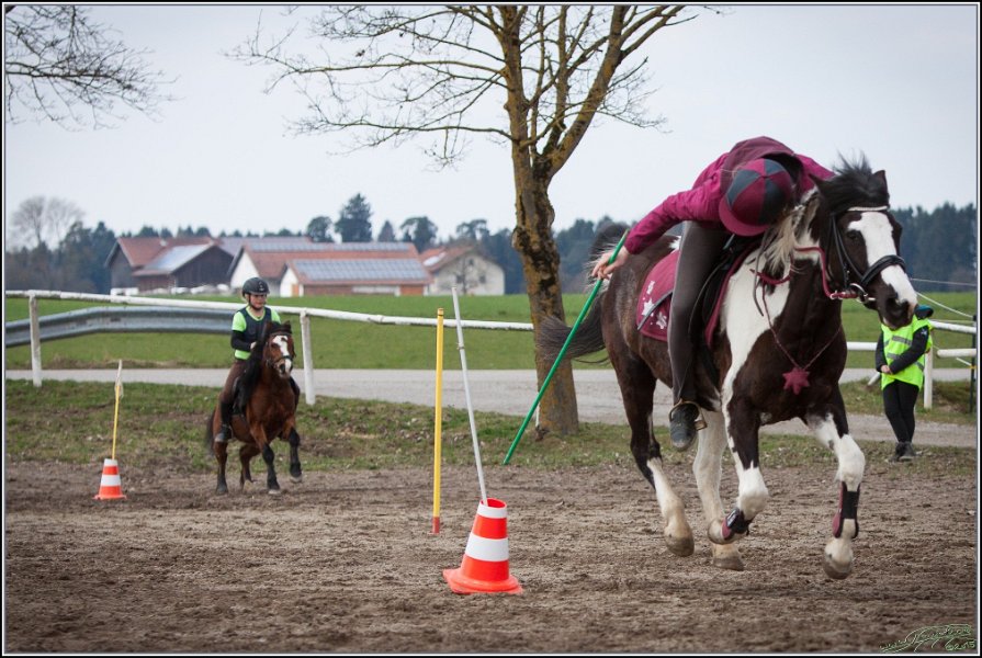 MountedGamesBayrischeMeisterschaft2015 237