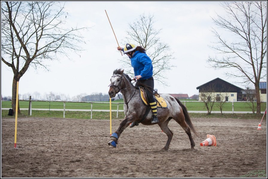 MountedGamesBayrischeMeisterschaft2015 242