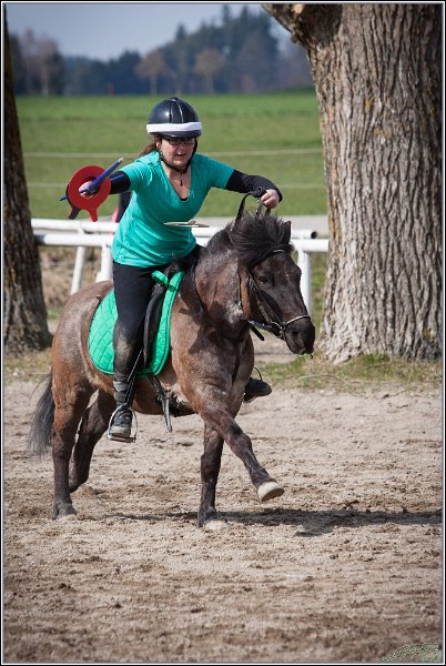 MountedGamesBayrischeMeisterschaft2015 246